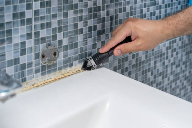 Best Industrial Mold Remediation in Fredonia, WI