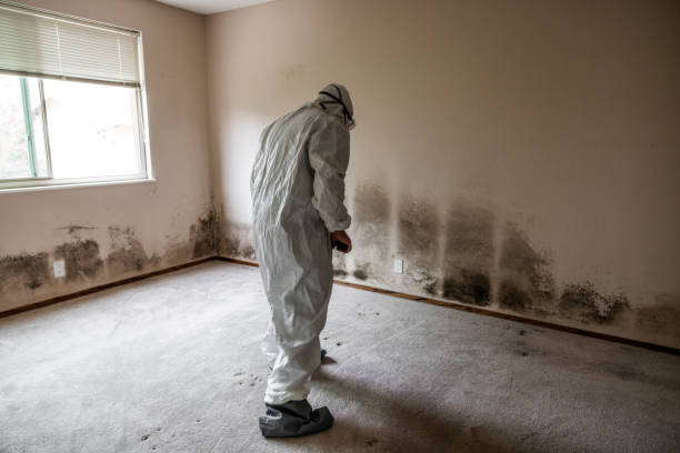 Best Bathroom Mold Remediation in Fredonia, WI